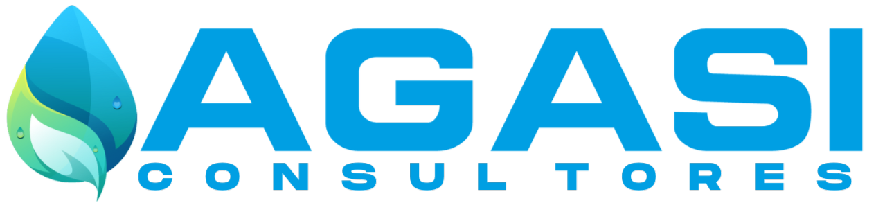 Logo AGASI Consutores